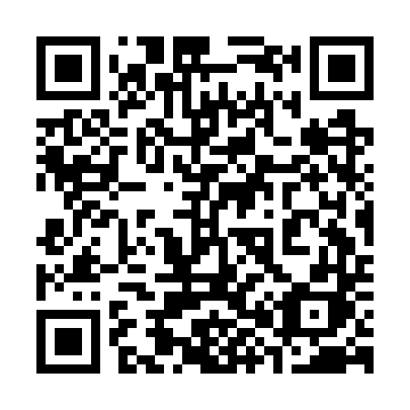 QR code for plate 383-GTH