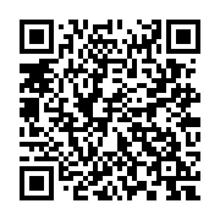 QR code for plate 383-UKG