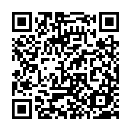 QR code for 384-CTM