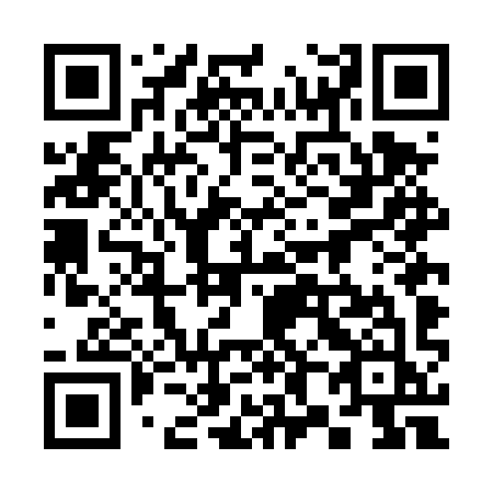 QR code for 384-DYJ