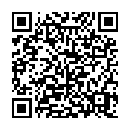 QR code for 384-IBV