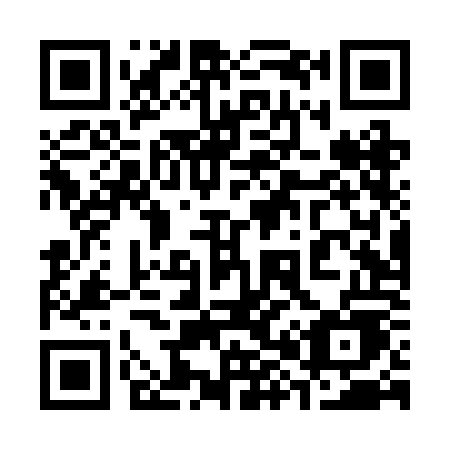 QR code for 384-ROE