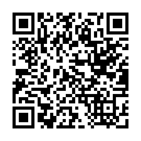 QR code for 384-RVZ