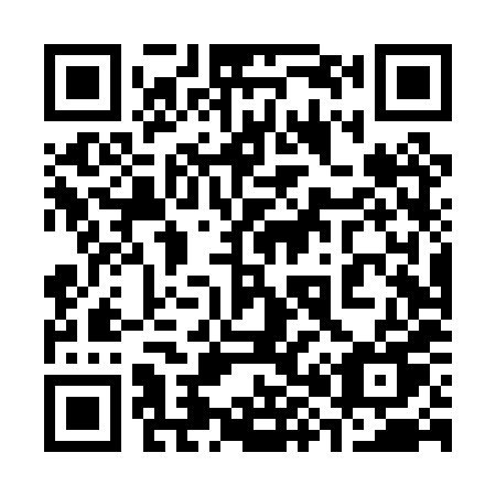 QR code for plate 384-PXU