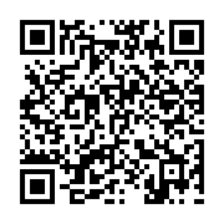 QR code for 384RSX