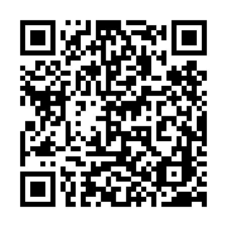 QR code for 384TFC