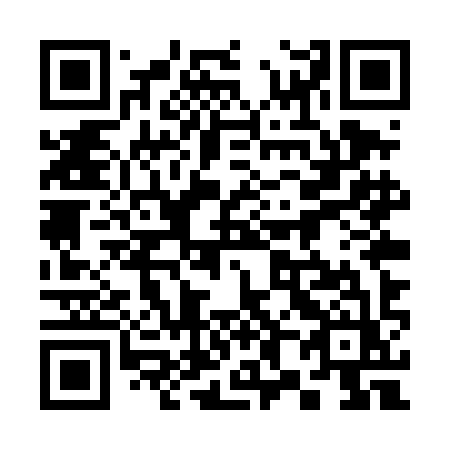 QR code for 385-TIZ