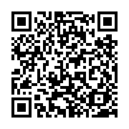 QR code for plate 385-GJH