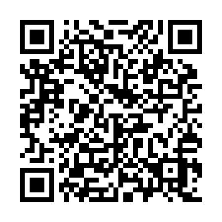 QR code for plate 385-JAZ