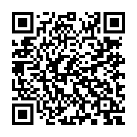 QR code for plate 385-LIC