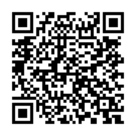 QR code for plate 385-LWR