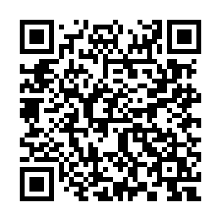 QR code for plate 385-MEU