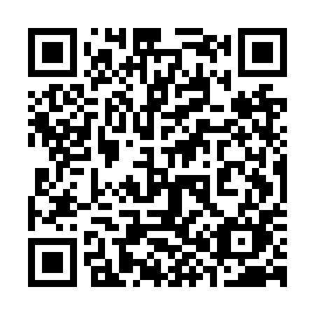 QR code for plate 385-NPM