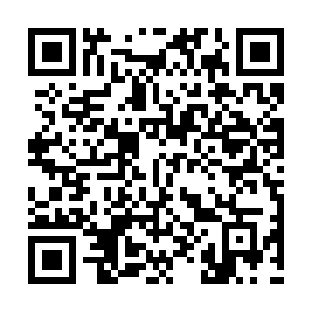 QR code for plate 385-SOG