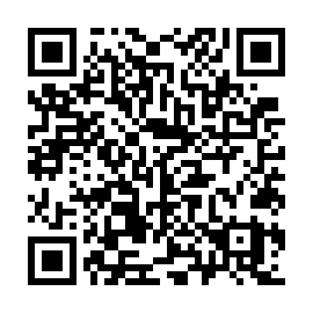 QR code for plate 385-WNY
