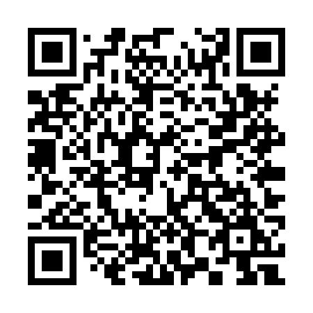 QR code for plate 385-XZM