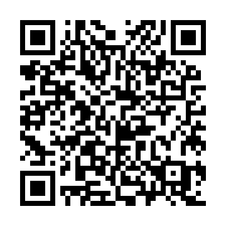 QR code for plate 385-YZC