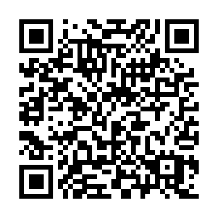 QR code for 386PAU
