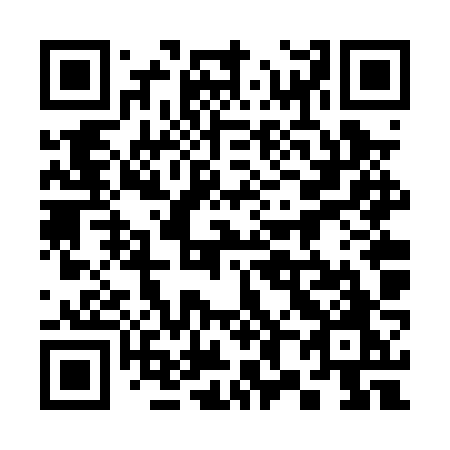QR code for 386PZO