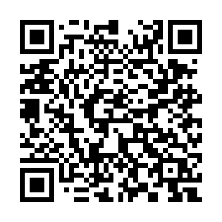 QR code for 387-DFP