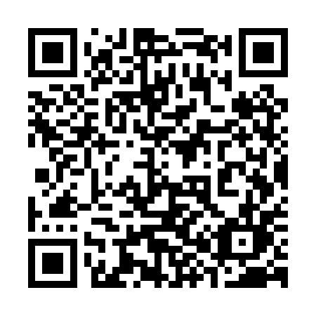 QR code for 387-PPL