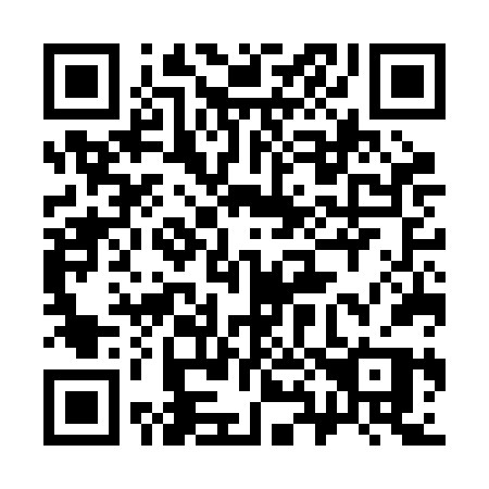 QR code for plate 387-BFP