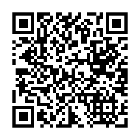 QR code for plate 387-LIN