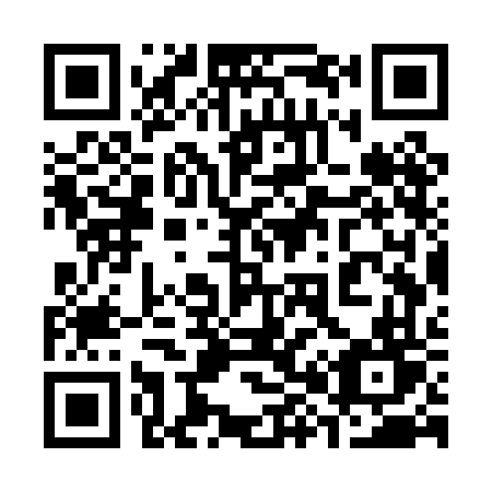 QR code for plate 387-PFT