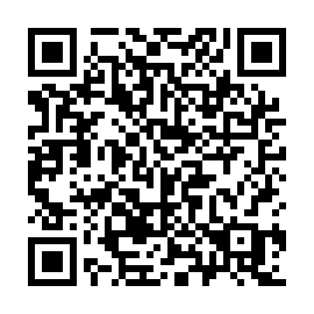 QR code for plate 389-ABB