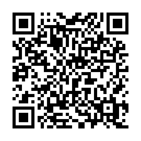 QR code for plate 389-IFL