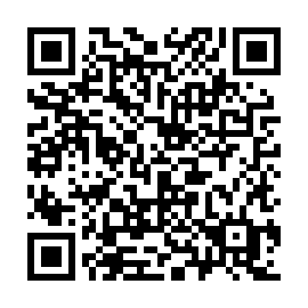 QR code for plate 389-LXD