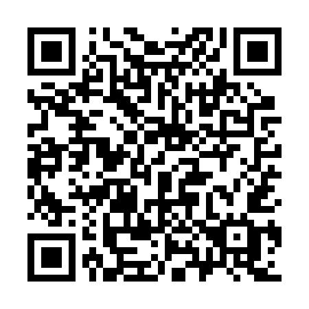 QR code for 389RUG