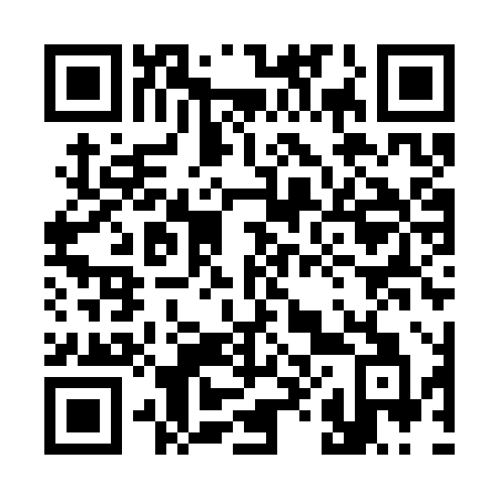 QR code for plate 389-SXA