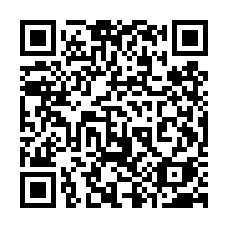 QR code for 391DSI