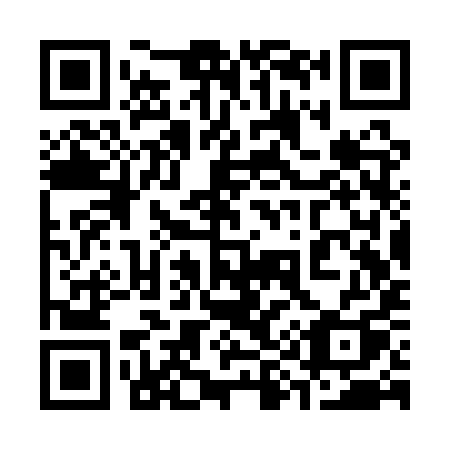 QR code for 393-QYQ