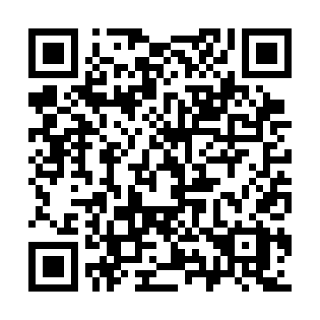QR code for 393-SDX