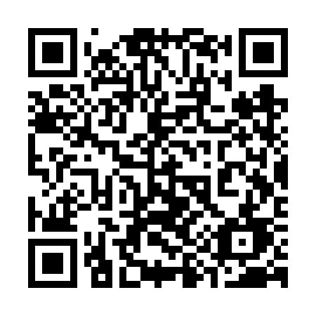 QR code for 393-VSD