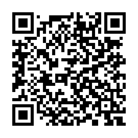 QR code for 393LMJ