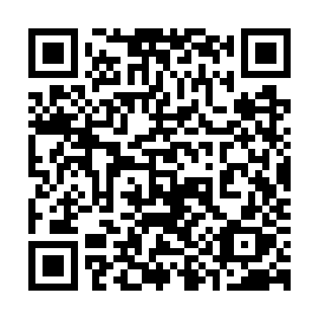 QR code for 393WZX