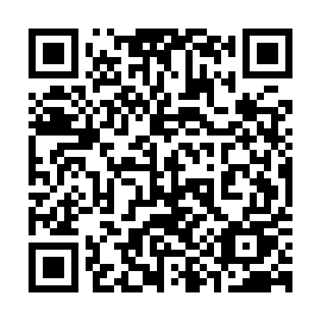 QR code for plate 395-IUU