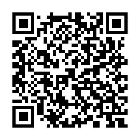 QR code for 397-IZN