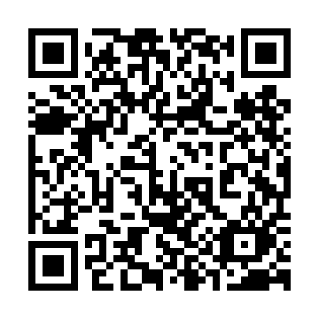 QR code for 398-DAO