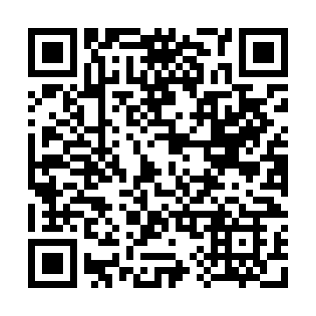 QR code for plate 398-LNK