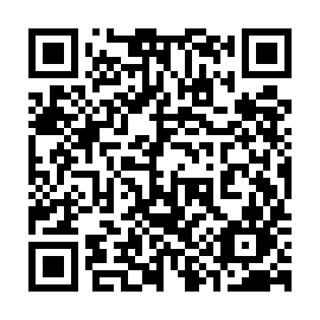 QR code for plate 399-EIN