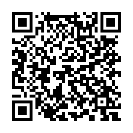 QR code for plate 399-LTO