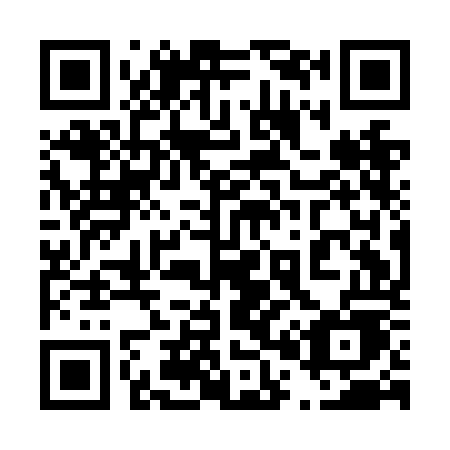 QR code for plate 401-NOE
