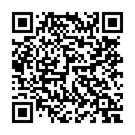 QR code for 411-LSD