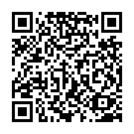 QR code for 411-NSY