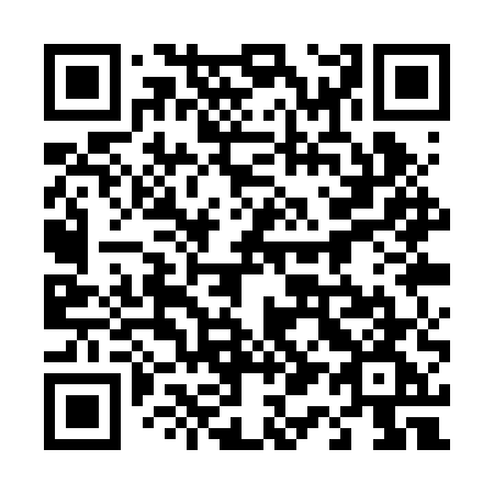 QR code for 411-RUG