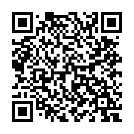 QR code for plate 411-DUM